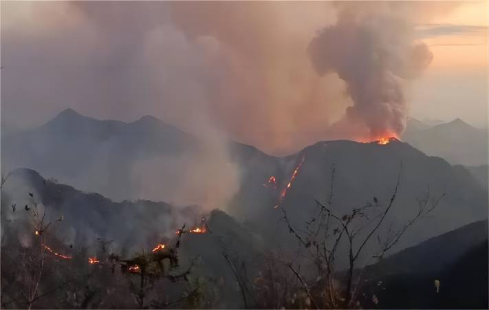 赴省内多地进行山火紧急公益救援